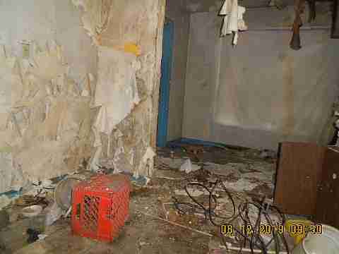 19246 Albany (6)_m.jpg